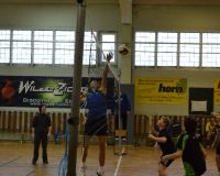 volleyball 2013 02